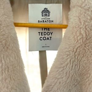 Aritzia The Teddy Coat